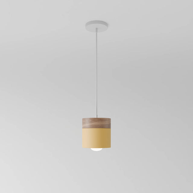 Exposure Pendant Light