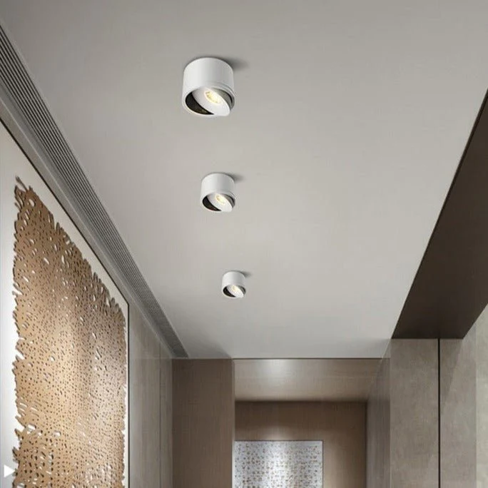 Aurora Ceiling Light