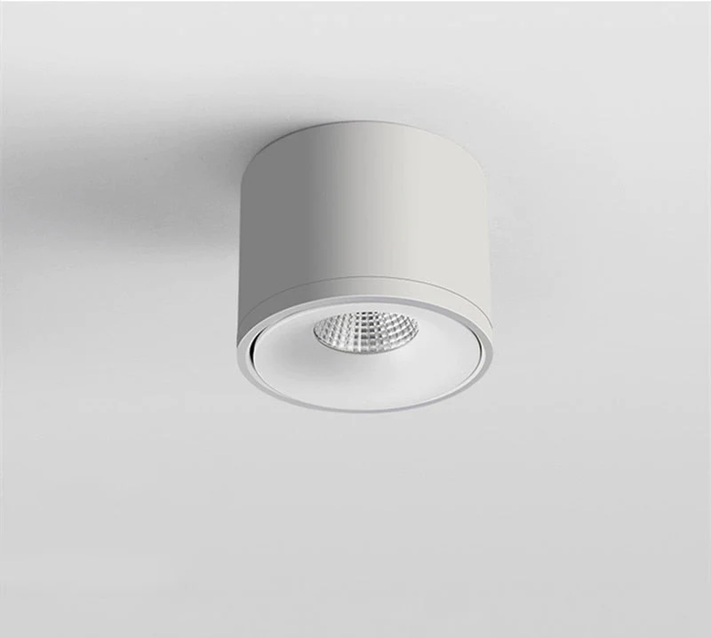 Aurora Ceiling Light