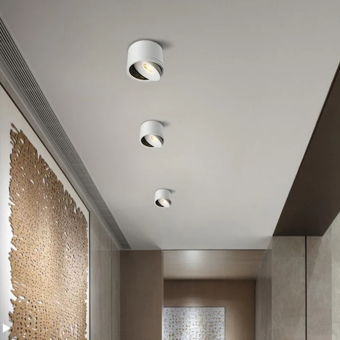 Aurora Ceiling Light