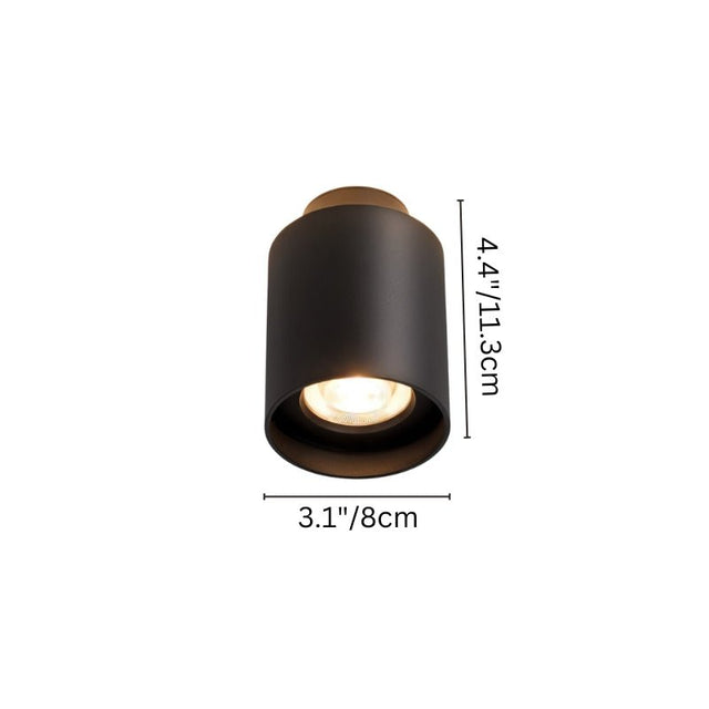 Eltang Ceiling Light