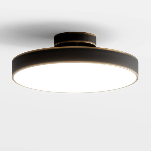 Bismuth Ceiling Light