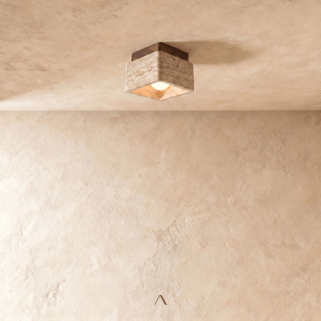 Albox Ceiling Light