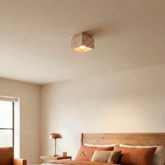 Albox Ceiling Light