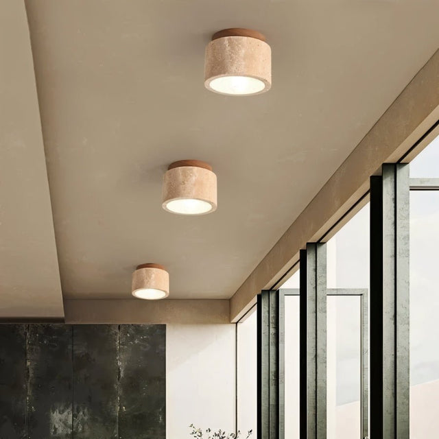 Rhone Ceiling Light