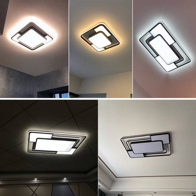 Fluke Ceiling Light
