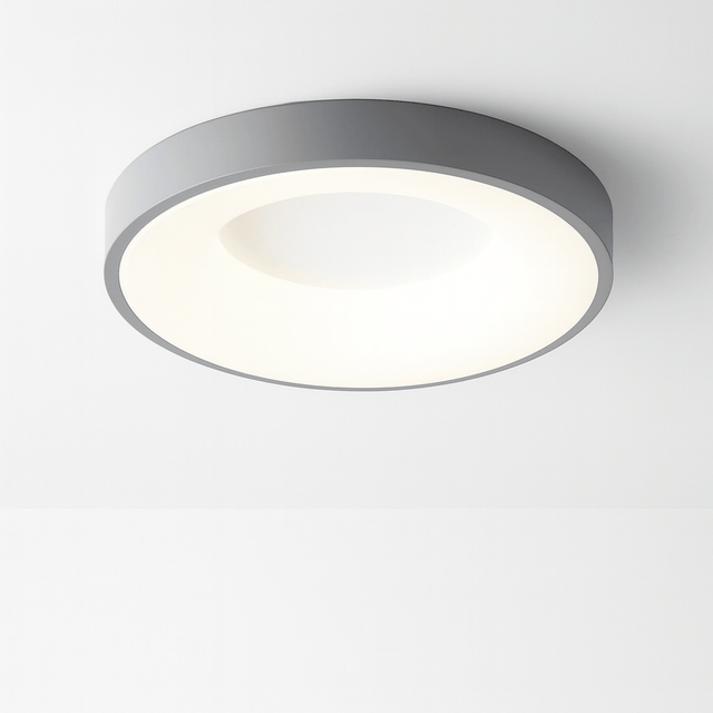 Stay Ceiling Light