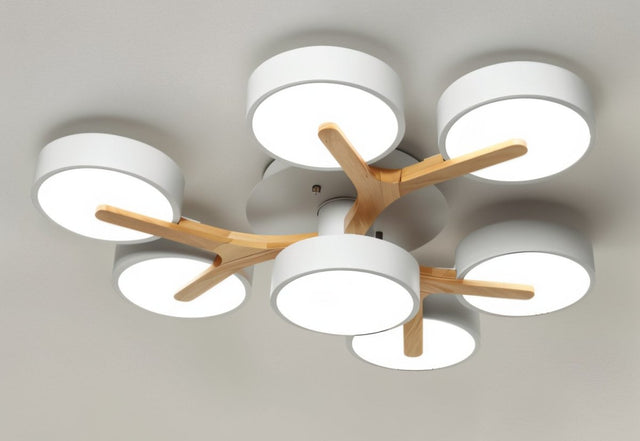 Boom Ceiling Light