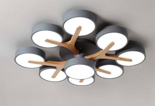 Boom Ceiling Light