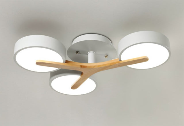 Boom Ceiling Light