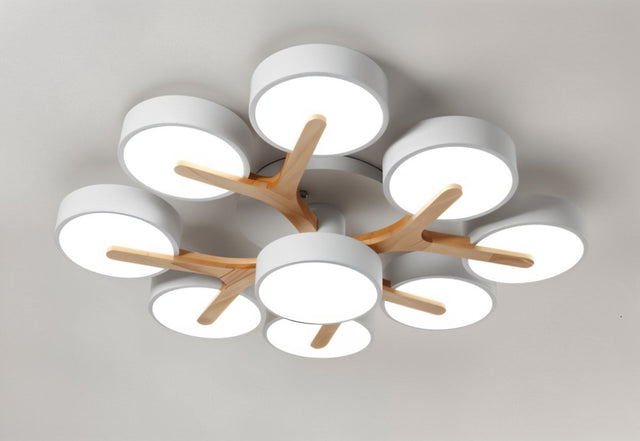 Boom Ceiling Light