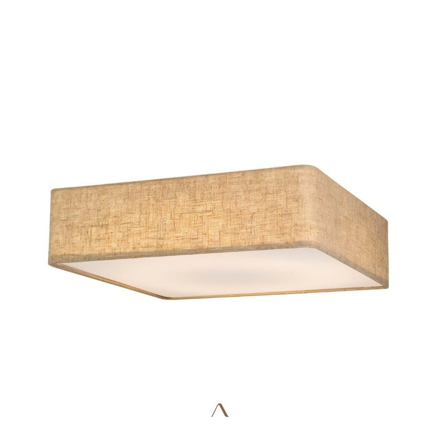 Asnen Ceiling Light