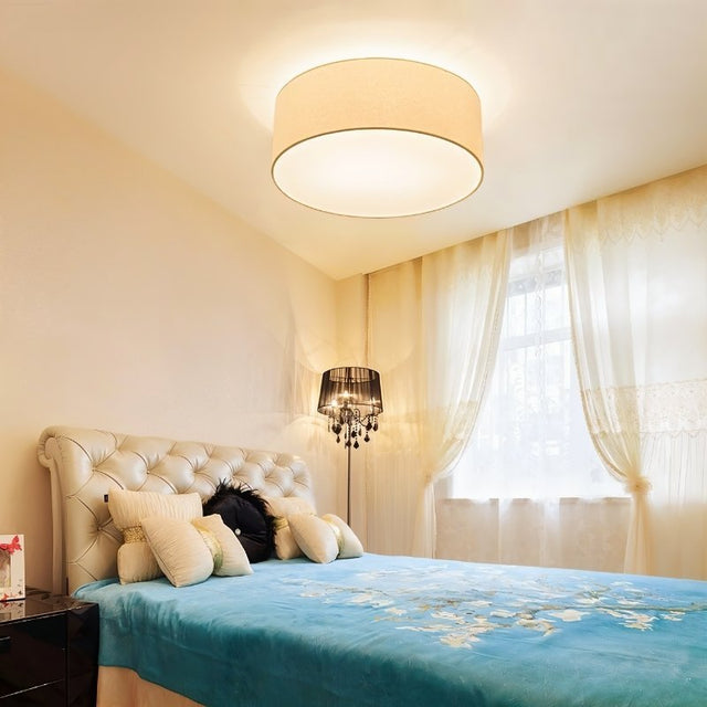 Asnen Ceiling Light