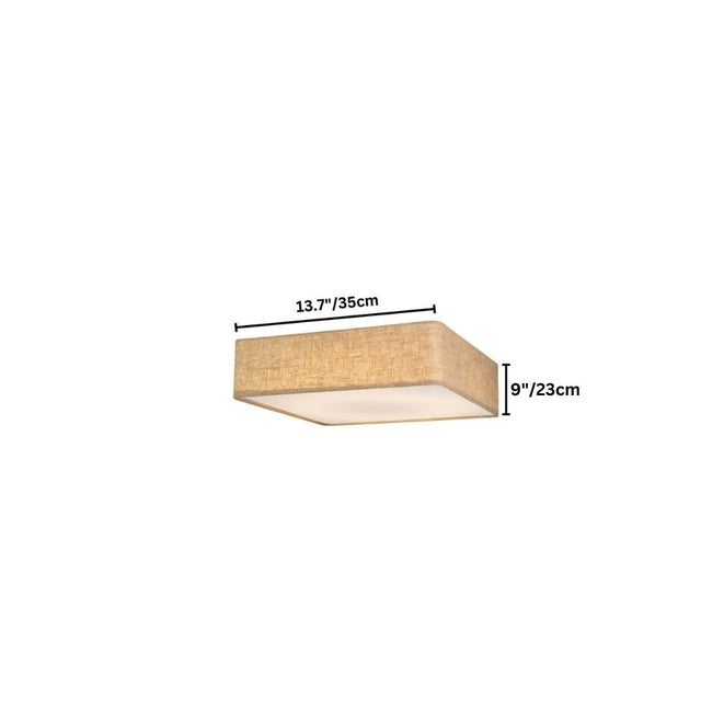 Asnen Ceiling Light