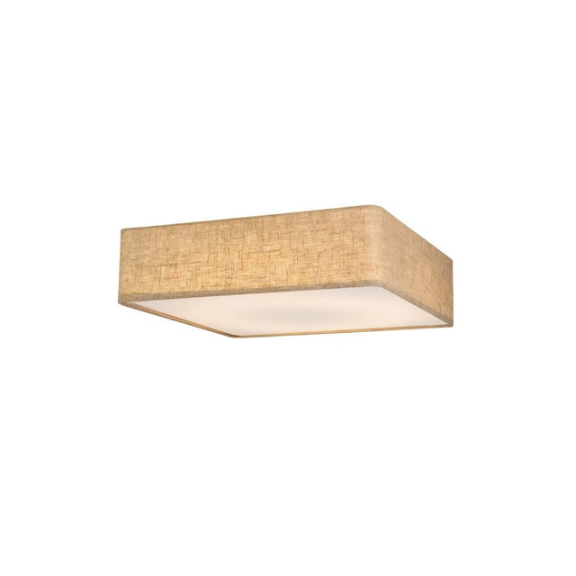 Asnen Ceiling Light