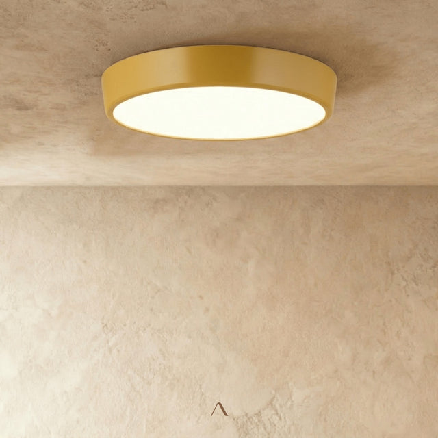 Balzheim Ceiling Light
