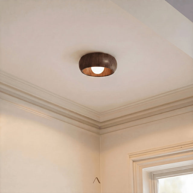 Begur Ceiling Light