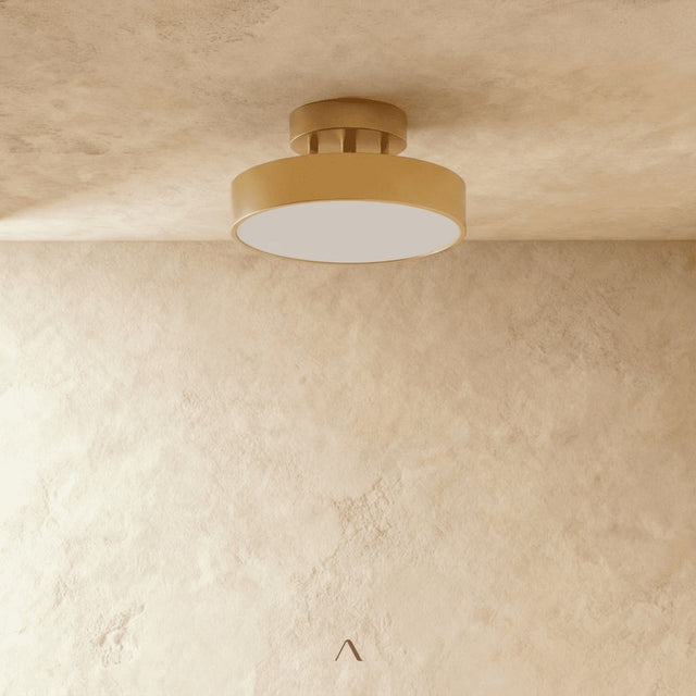 Bismuth Ceiling Light