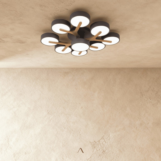 Boom Ceiling Light
