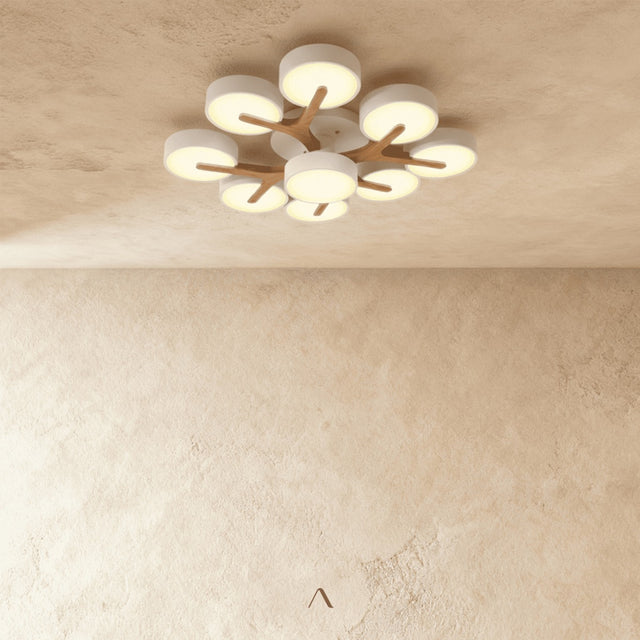 Boom Ceiling Light