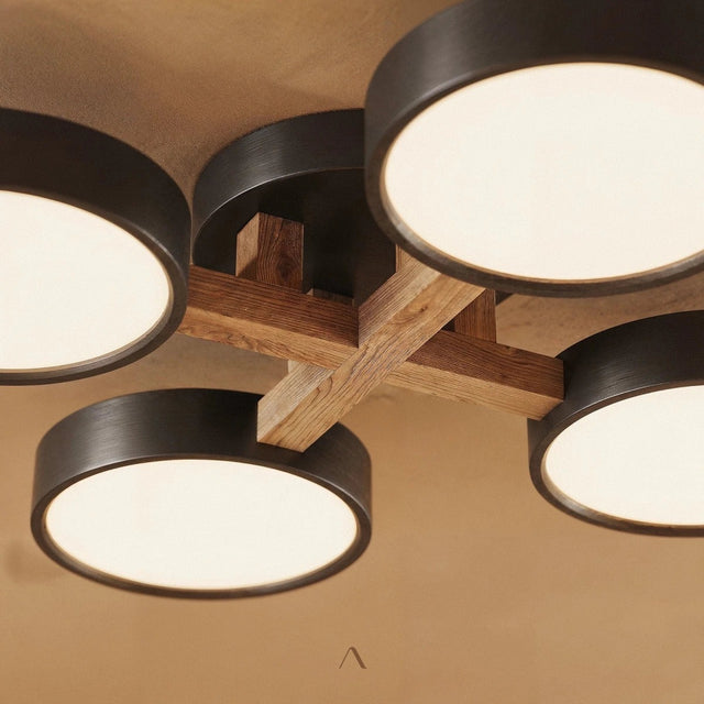 Boom Ceiling Light
