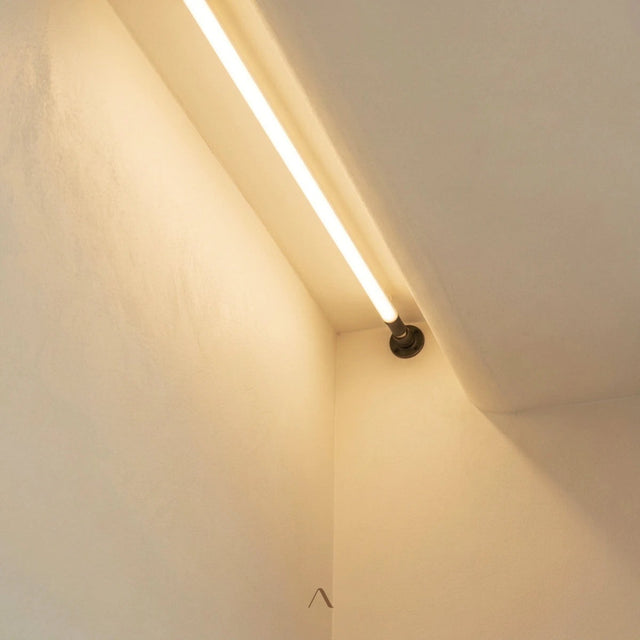 Bract Wall Lamp
