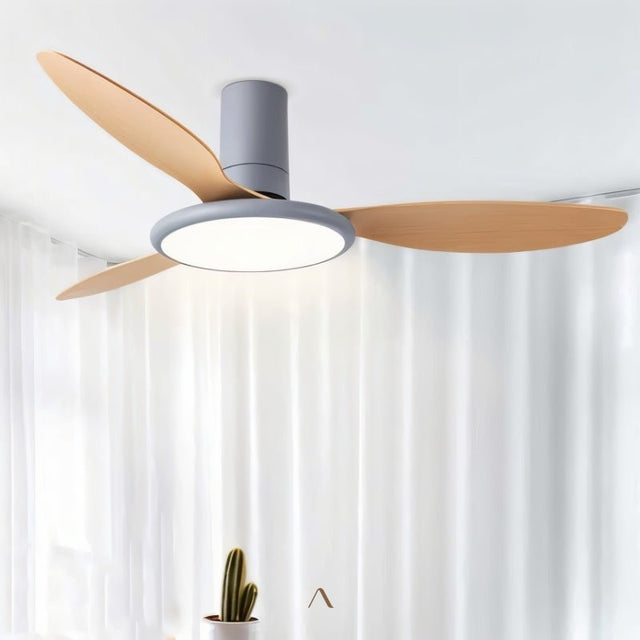 Corundum Ceiling Fan