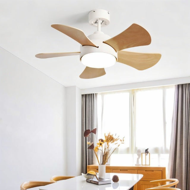 Dacite Ceiling Fan