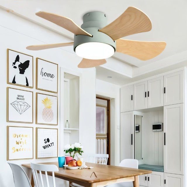 Dacite Ceiling Fan