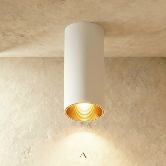 Dedus Downlight