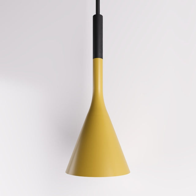 Trunk Pendant Light