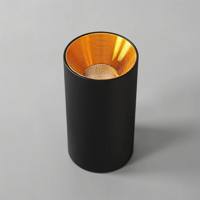 Dedus Downlight