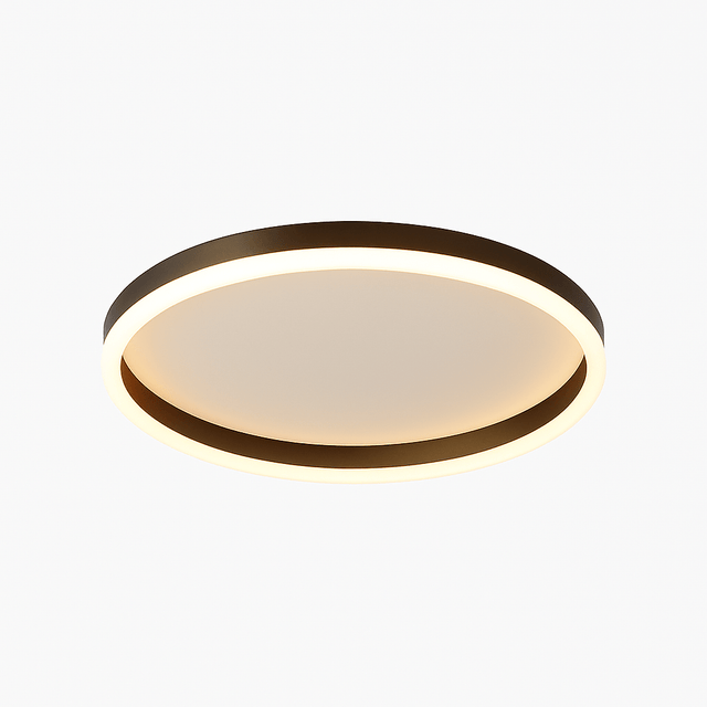 Hitch Ceiling Light