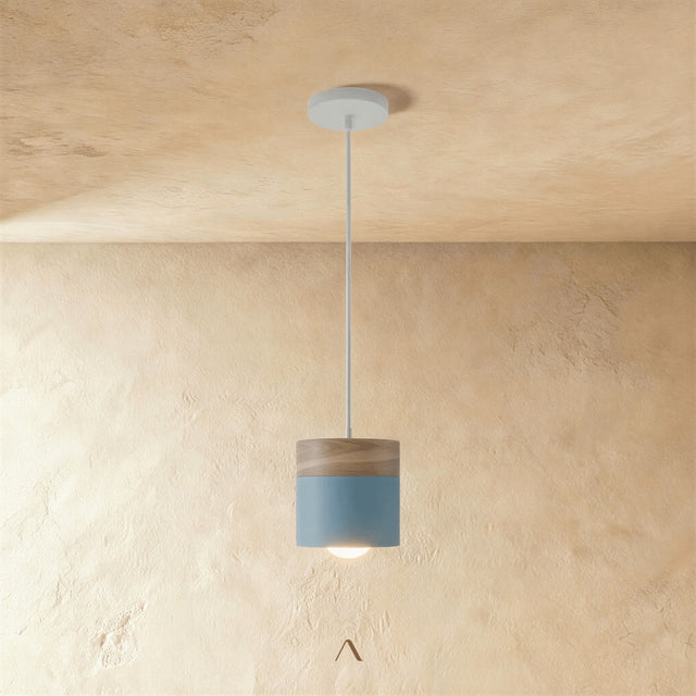 Exposure Pendant Light