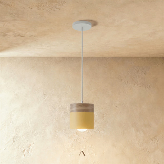Exposure Pendant Light