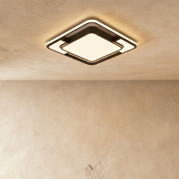 Fluke Ceiling Light