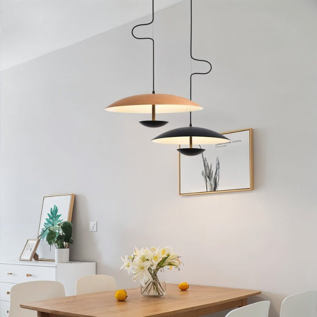 Schelde Pendant Light