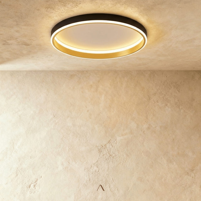 Hitch Ceiling Light