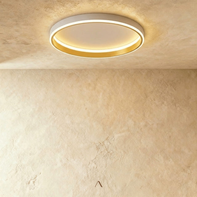 Hitch Ceiling Light