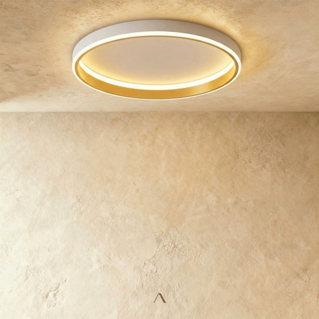 Hitch Ceiling Light