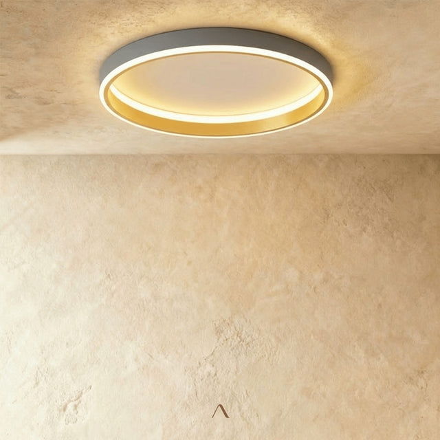Hitch Ceiling Light