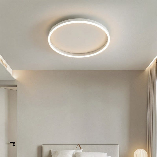Hitch Ceiling Light