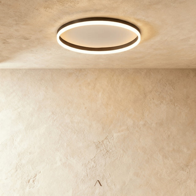 Hitch Ceiling Light
