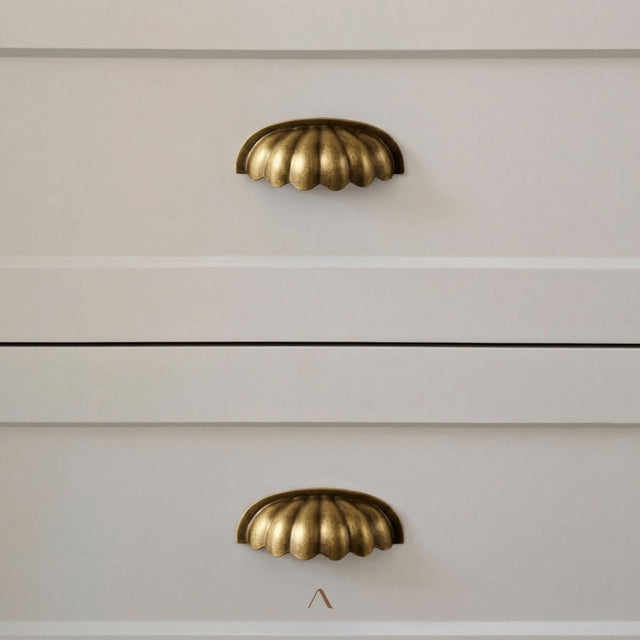 Huesa Cabinet Pull