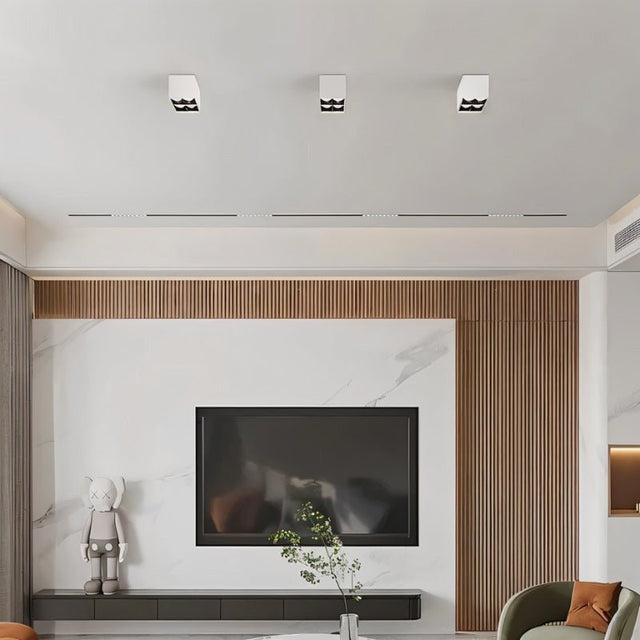 Corymb Downlight