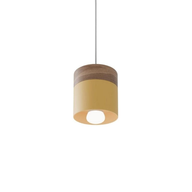 Exposure Pendant Light
