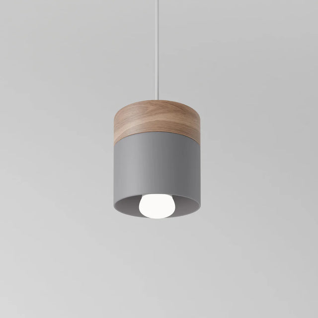 Exposure Pendant Light