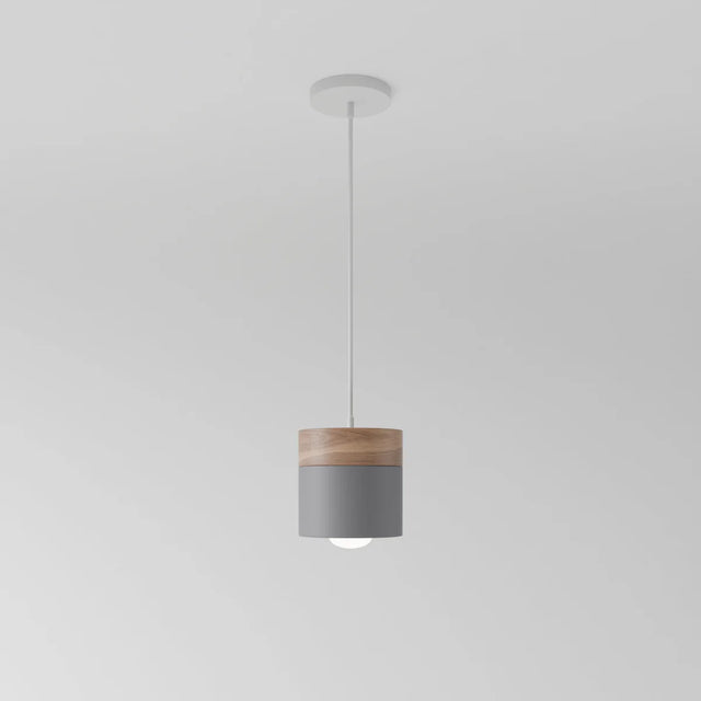 Exposure Pendant Light
