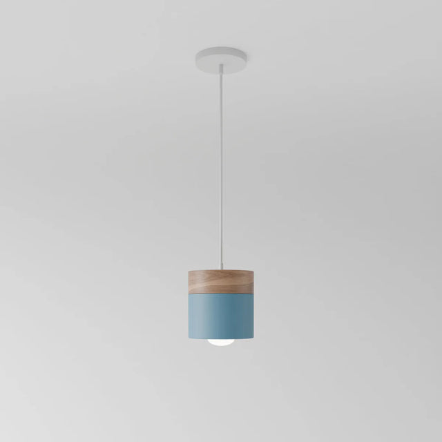 Exposure Pendant Light