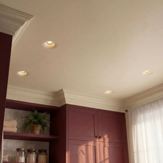 Lemmenjoki Downlight